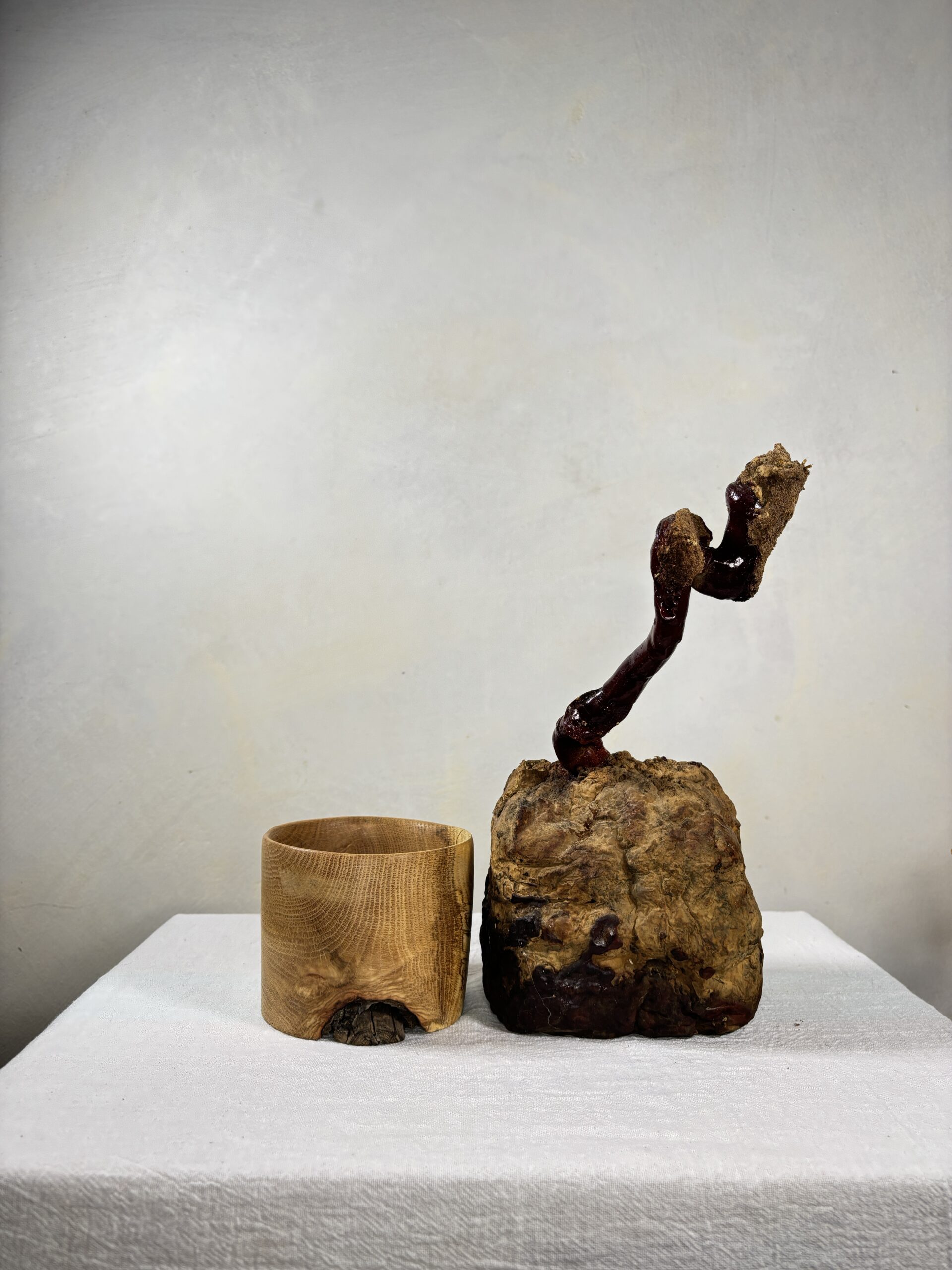 Reishi Bonsai Bowl #10