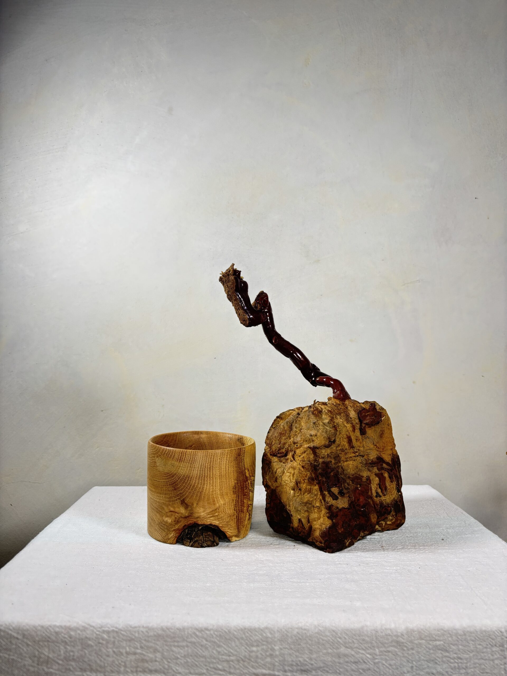 Reishi Bonsai Bowl #10