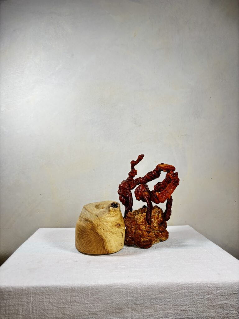 Reishi Bonsai Bowl #11