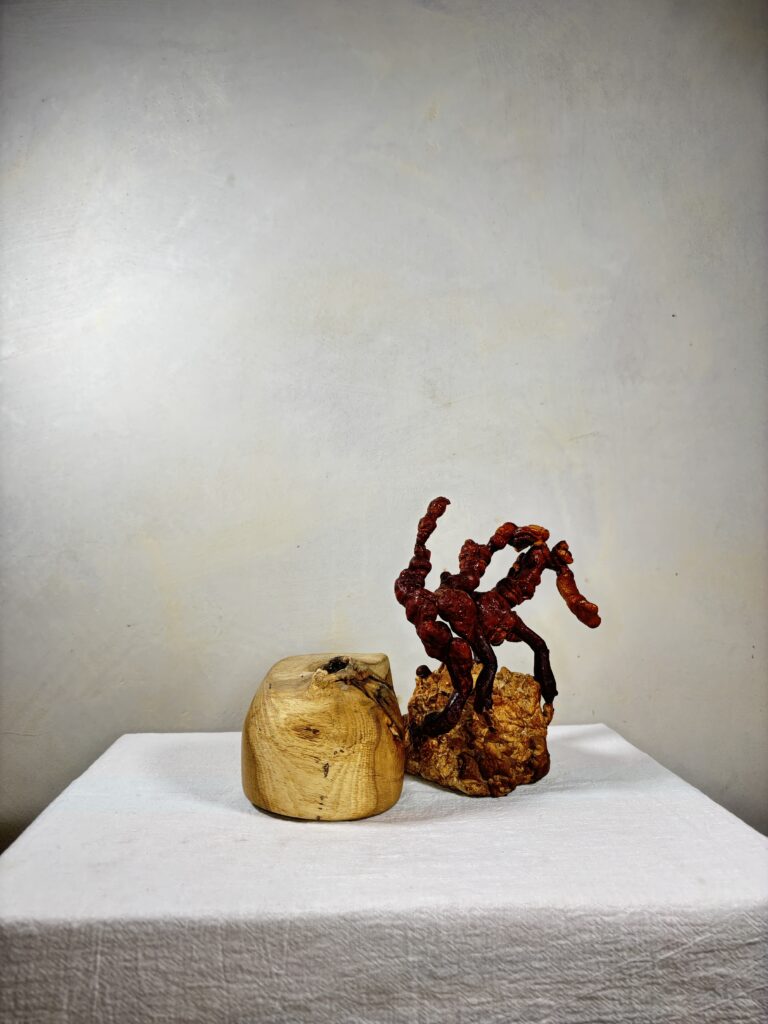 Reishi Bonsai Bowl #11