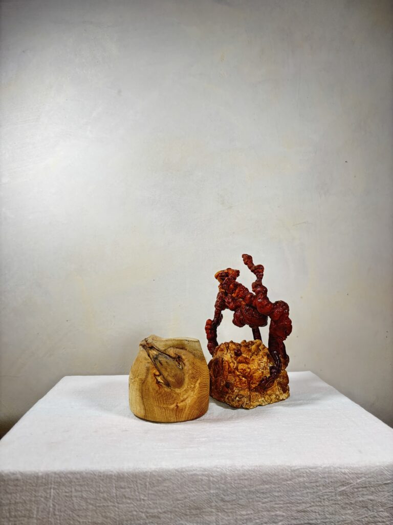 Reishi Bonsai Bowl #11