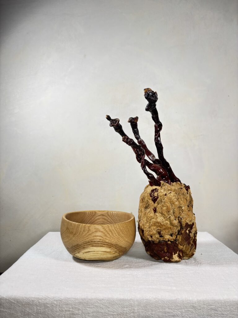 Reishi Bonsai Bowl #12