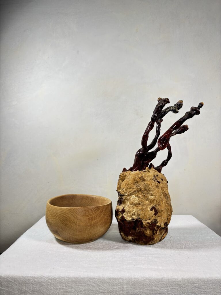 Reishi Bonsai Bowl #12