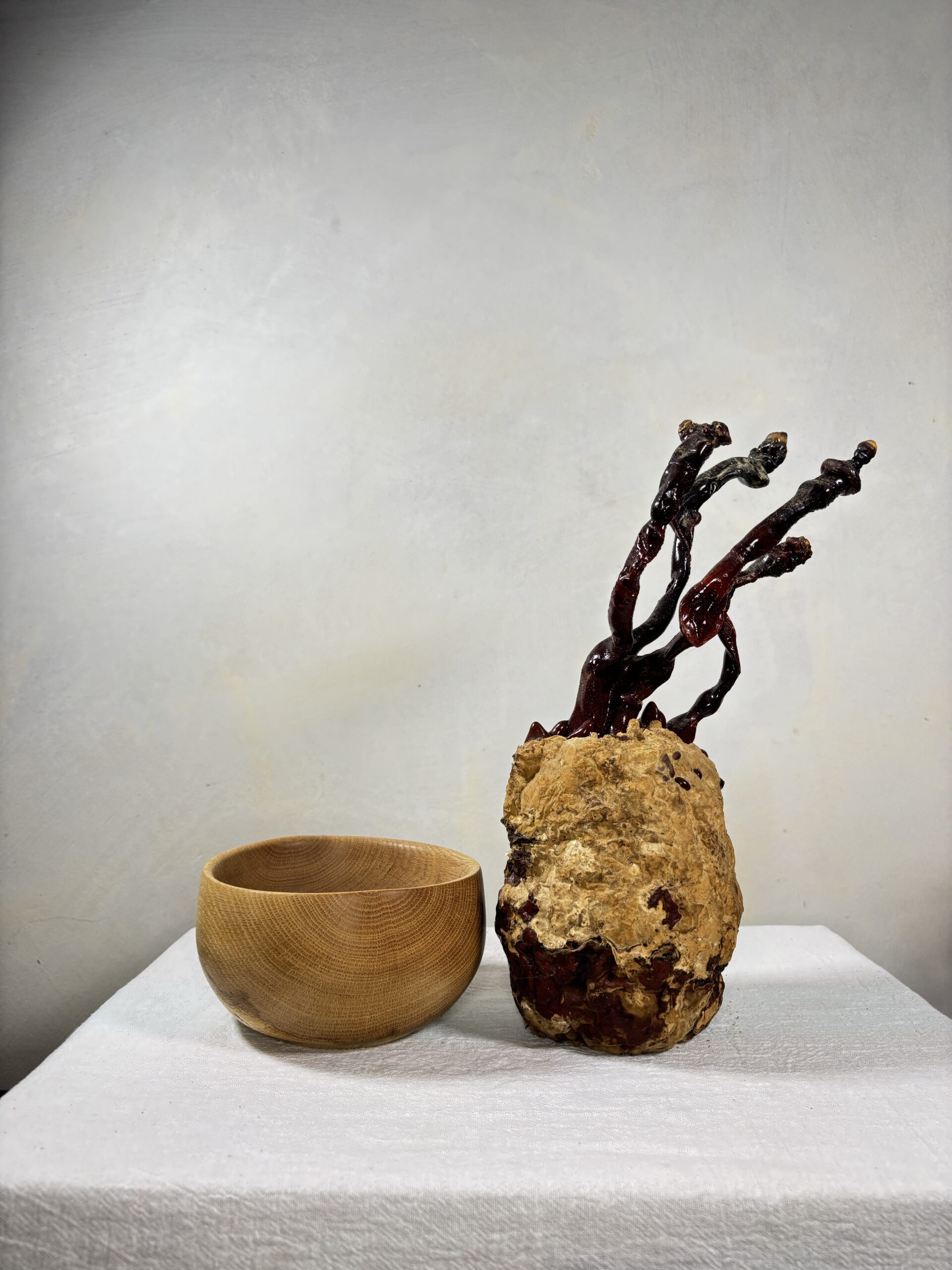 Reishi Bonsai Bowl #12