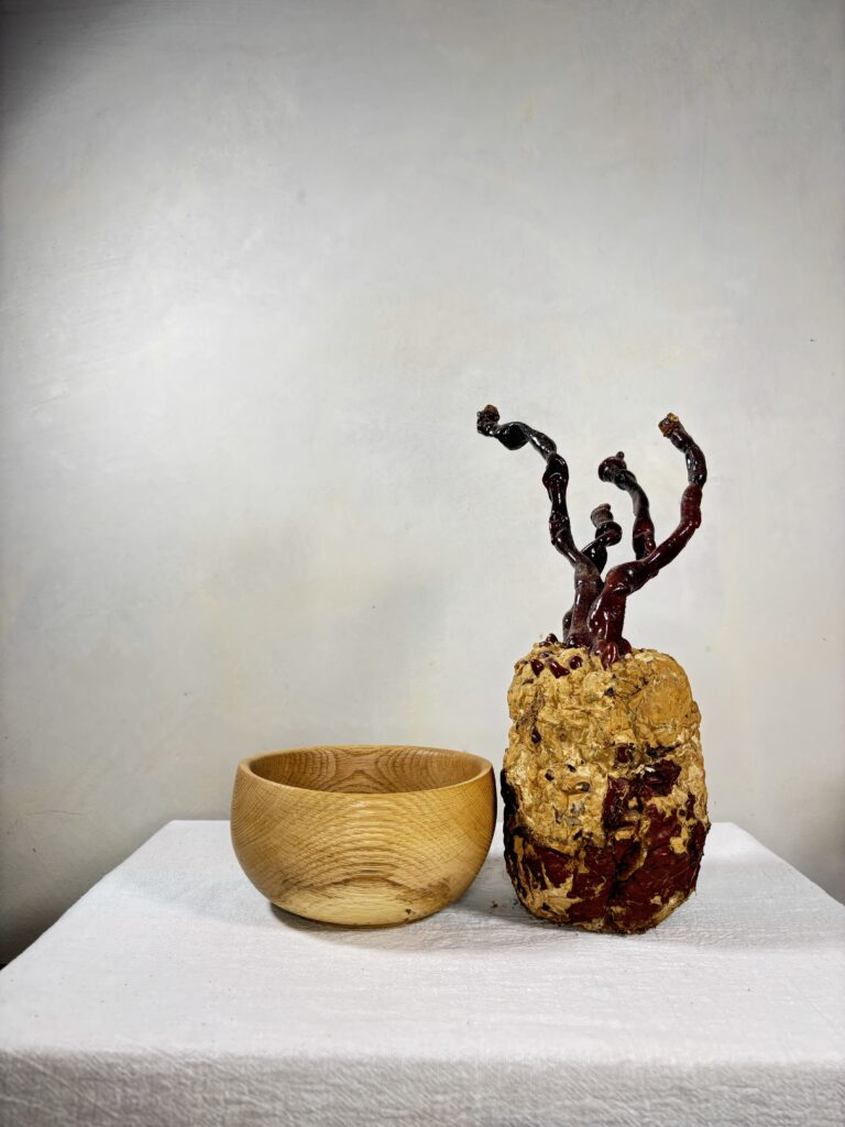 Reishi Bonsai Bowl #12