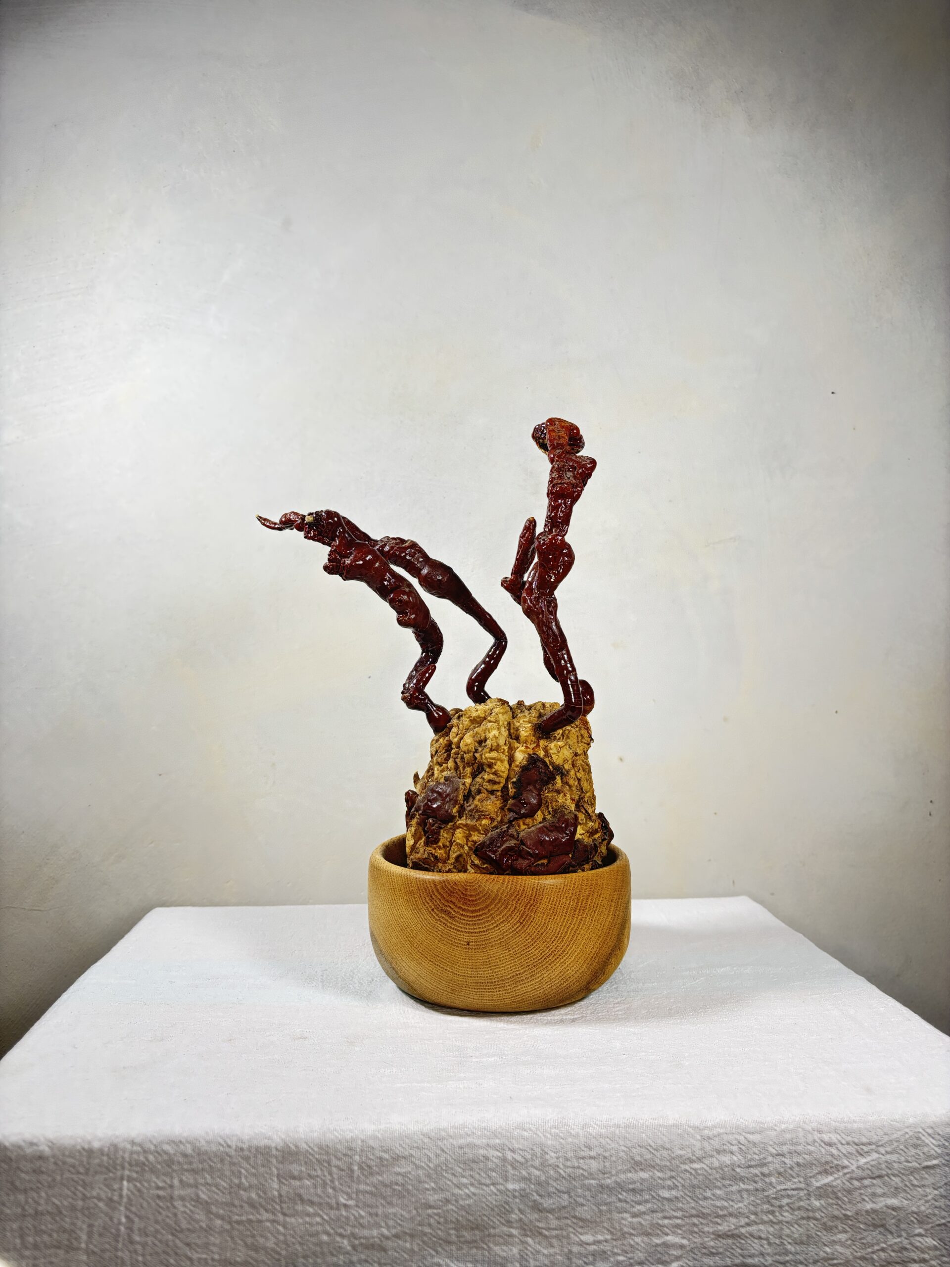 Reishi Bonsai Bowl #13