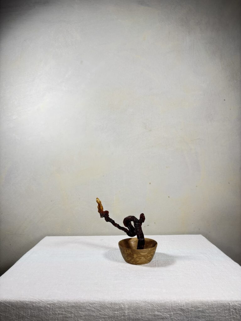 Reishi Bonsai Bowl #1