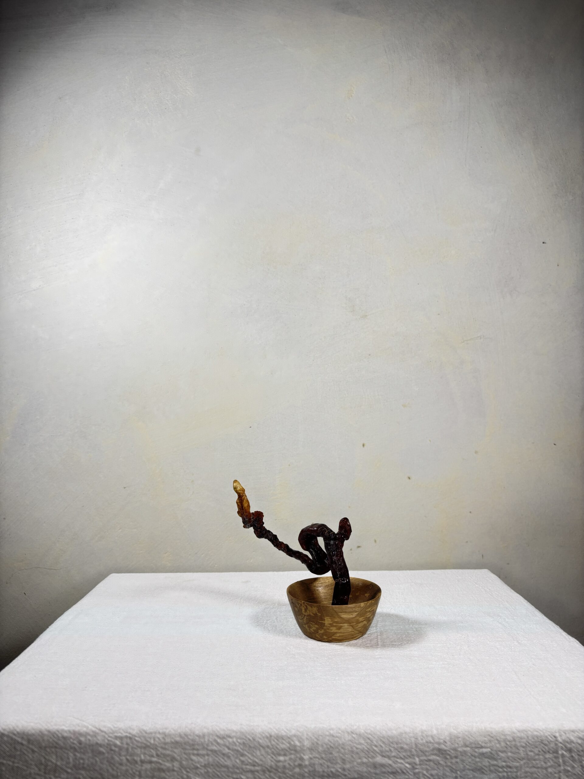 Reishi Bonsai Bowl #1