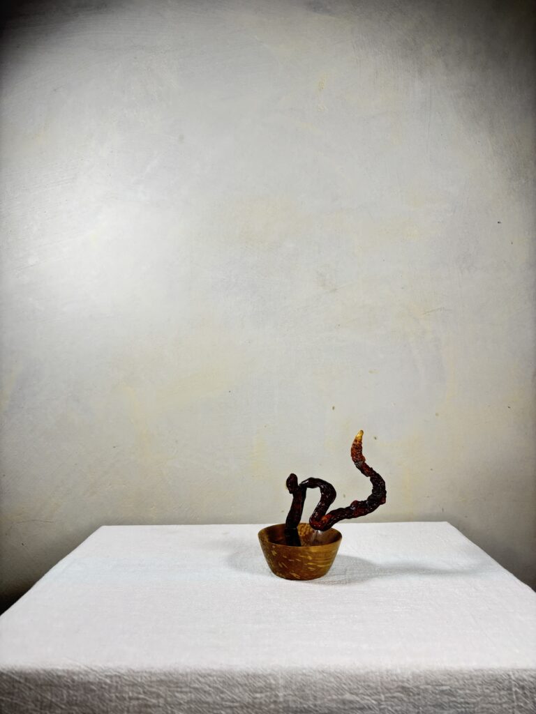 Reishi Bonsai Bowl #1