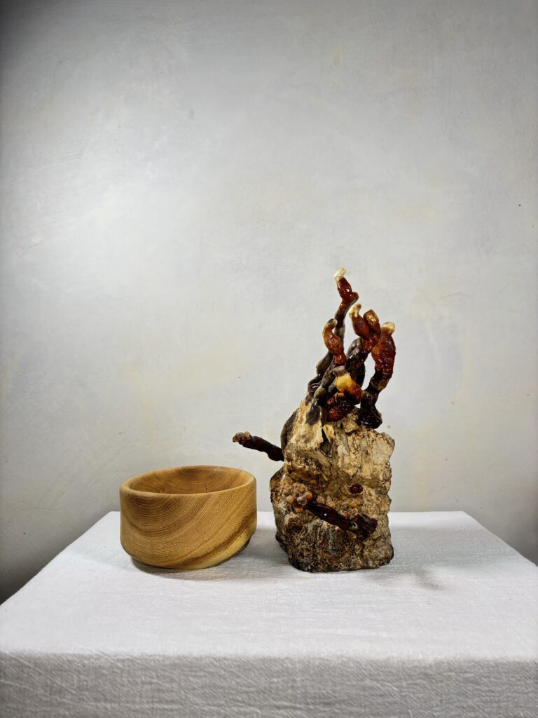 Reishi Bonsai Bowl #22