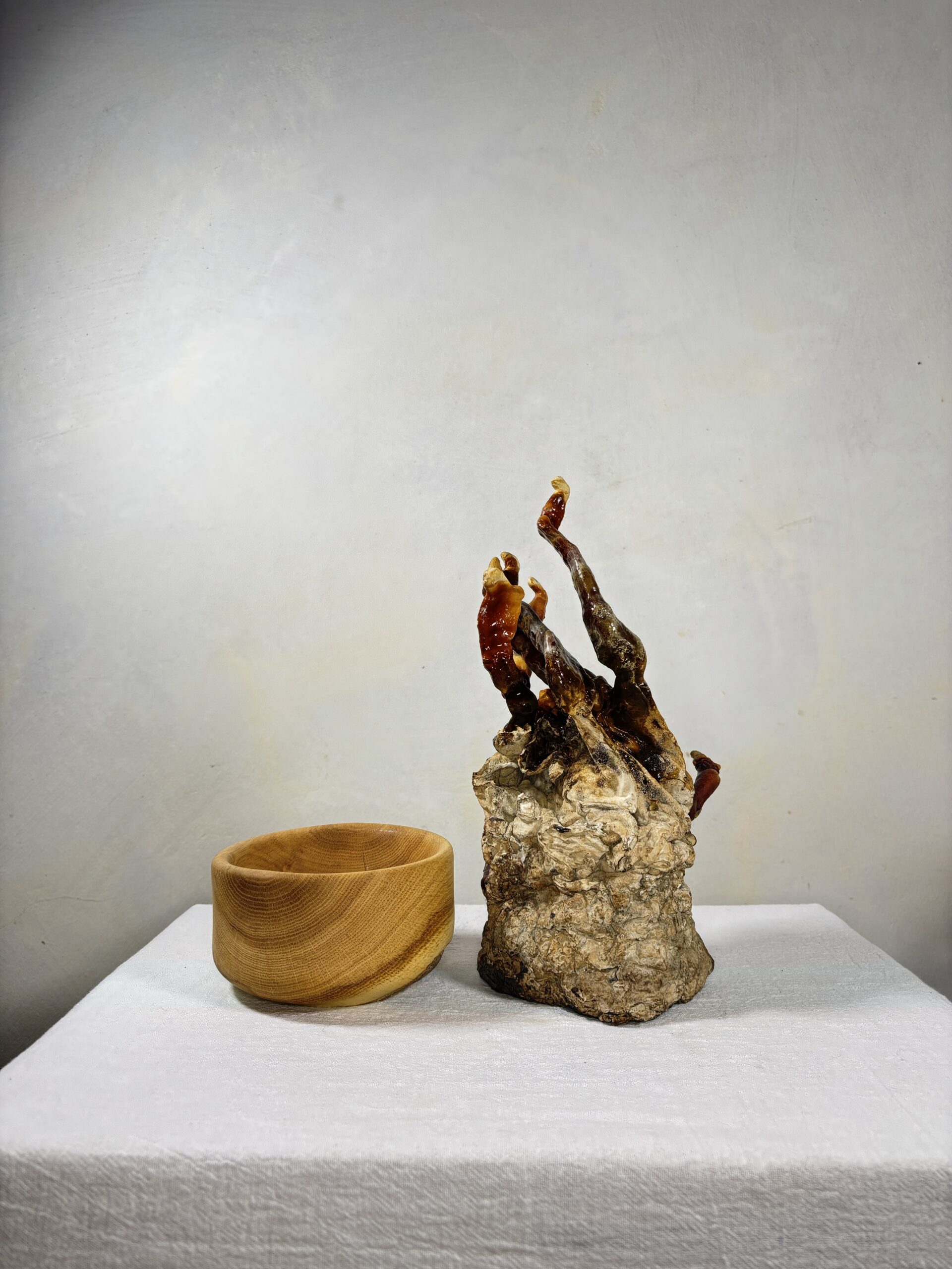 Reishi Bonsai Bowl #22