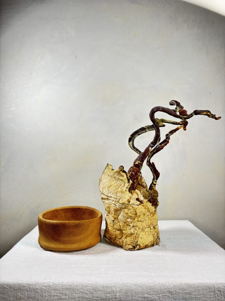 Reishi Bonsai Bowl #26