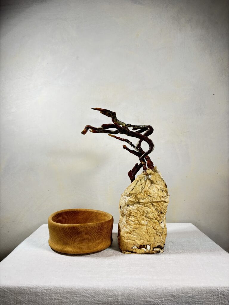 Reishi Bonsai Bowl #26