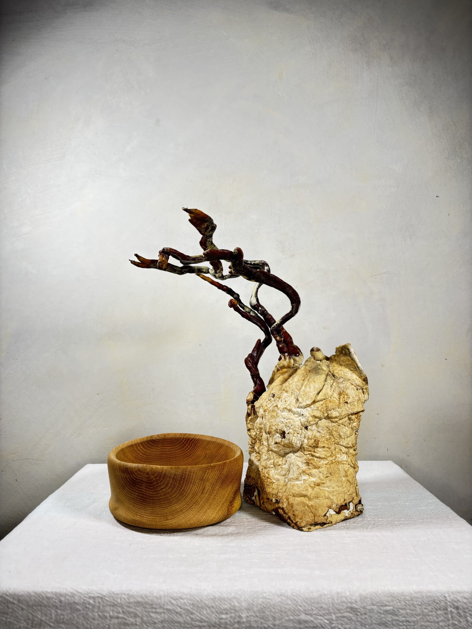 Reishi Bonsai Bowl #26