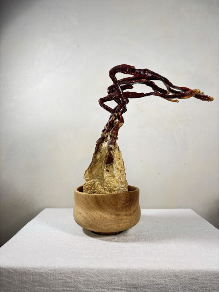 Reishi Bonsai Bowl #27