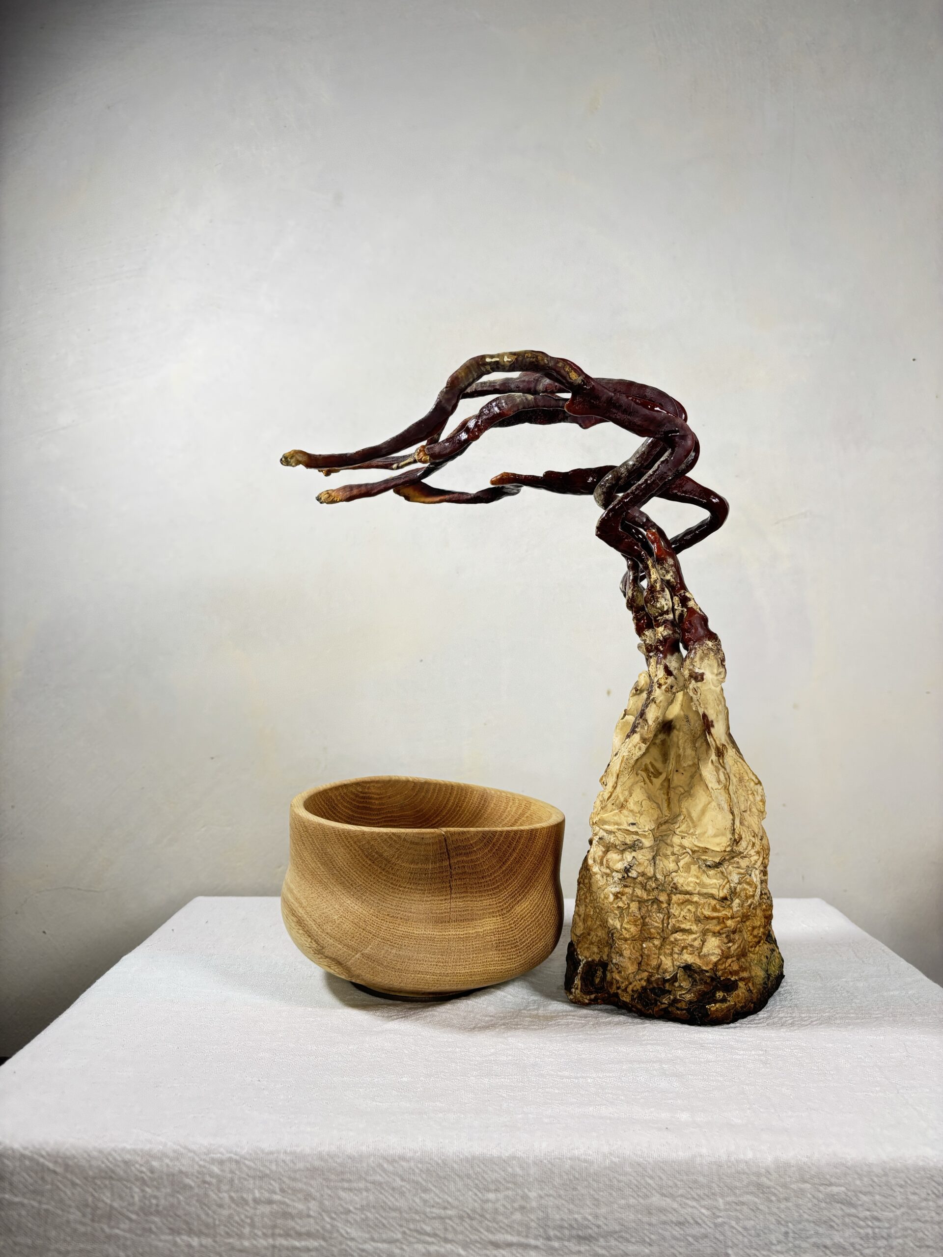 Reishi Bonsai Bowl #27