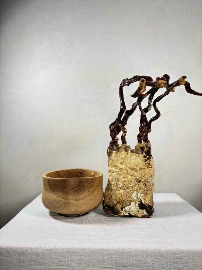 Reishi Bonsai Bowl #27