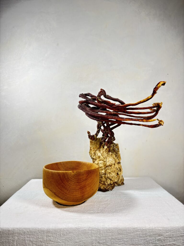 Reishi Bonsai Bowl #29