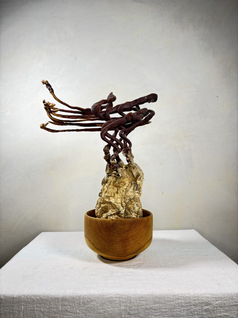 Reishi Bonsai Bowl #29