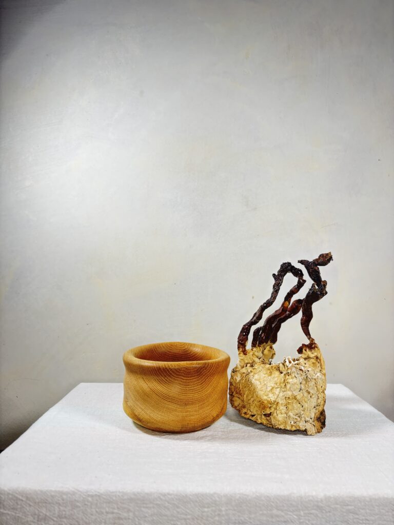 Reishi Bonsai Bowl #30