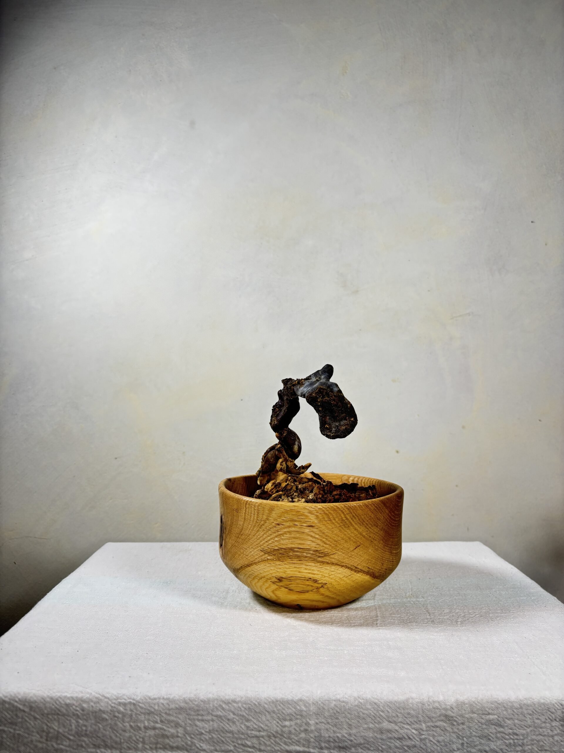 Reishi Bonsai Bowl #31