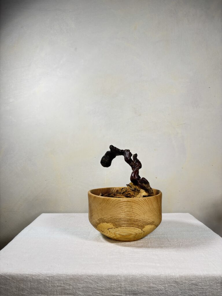 Reishi Bonsai Bowl #31