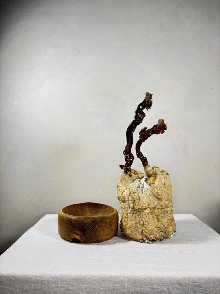 Reishi Bonsai Bowl #32