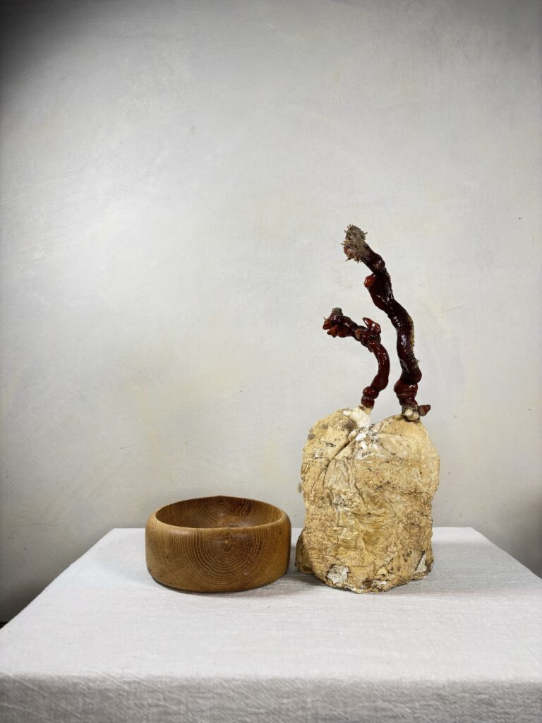 Reishi Bonsai Bowl #32