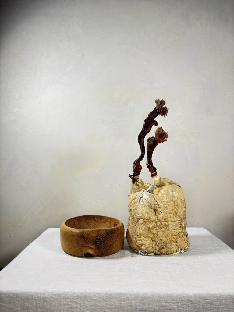 Reishi Bonsai Bowl #32