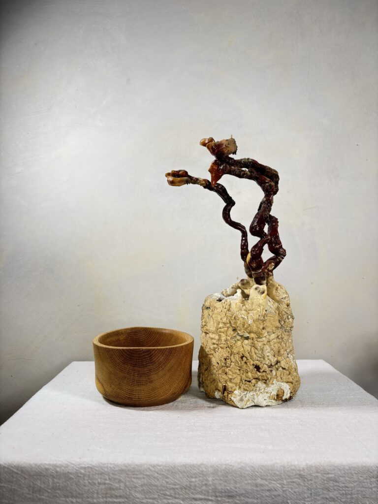 Reishi Bonsai Bowl #33