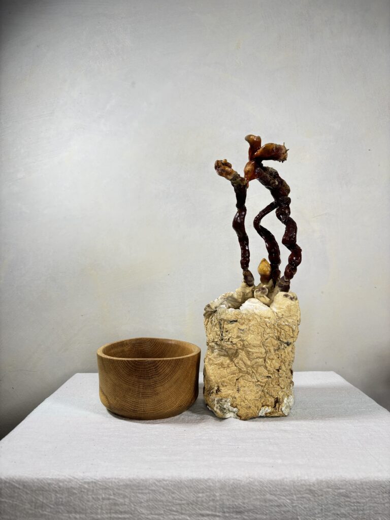 Reishi Bonsai Bowl #33