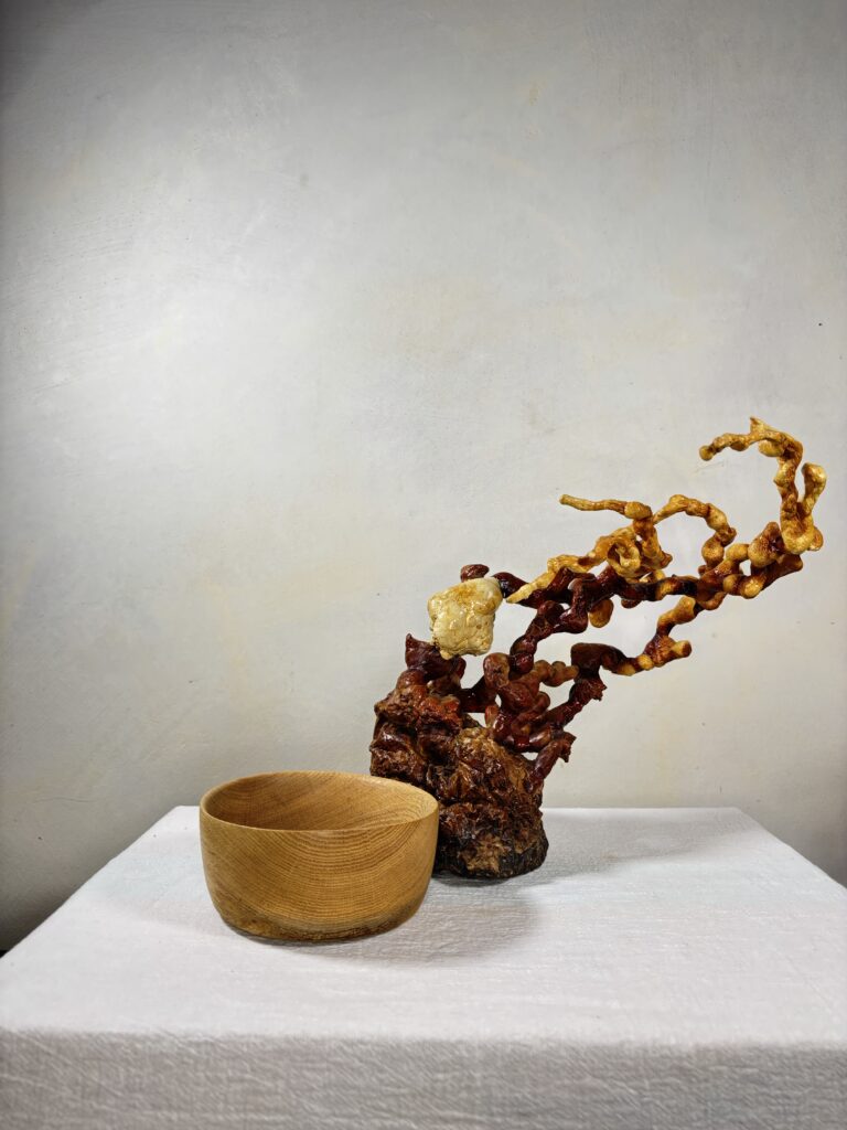 Reishi Bonsai Bowl #6