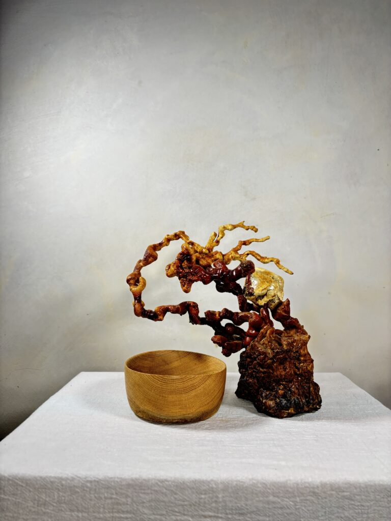 Reishi Bonsai Bowl #6