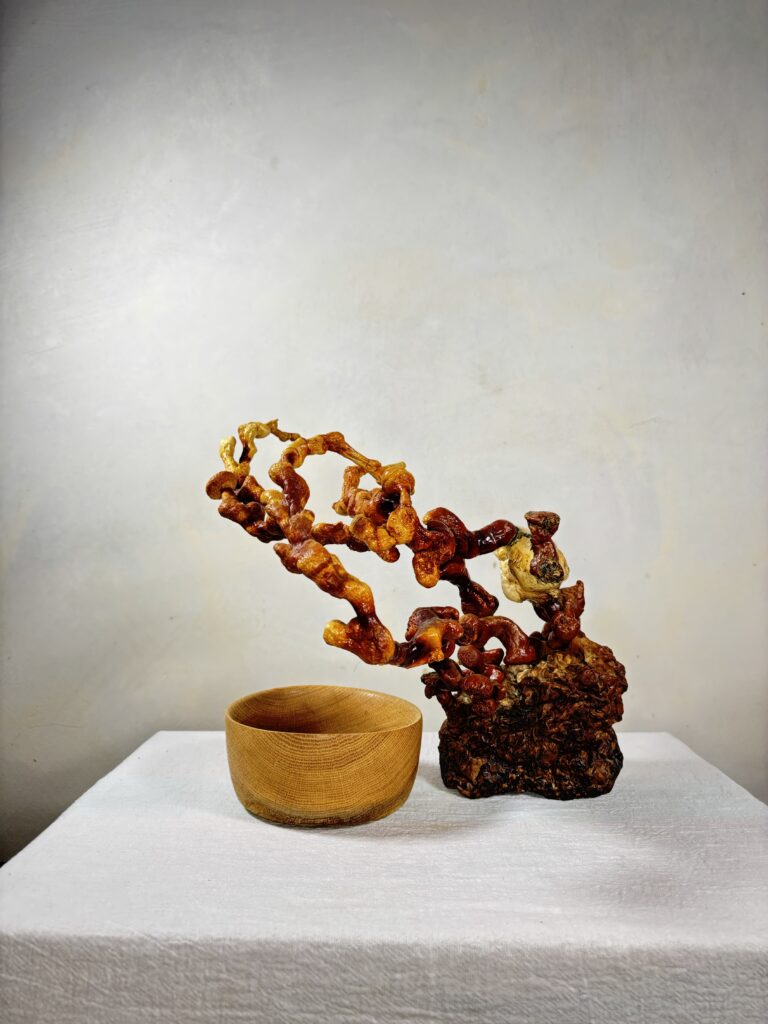 Reishi Bonsai Bowl #6