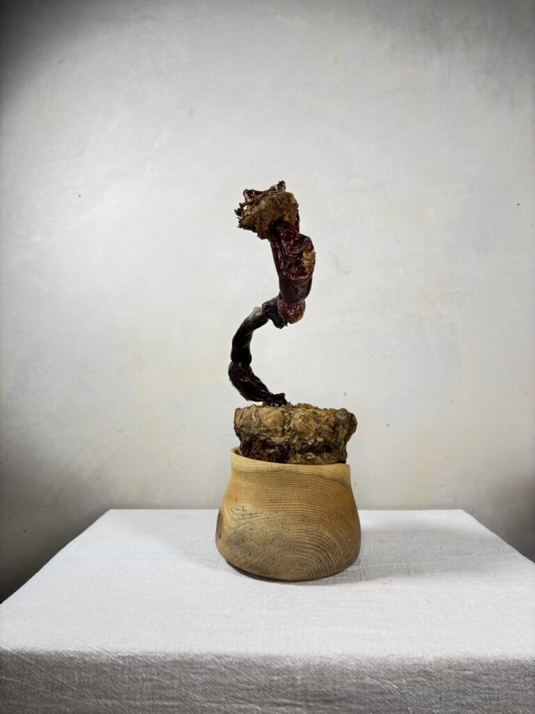 Reishi Bonsai Bowl #07