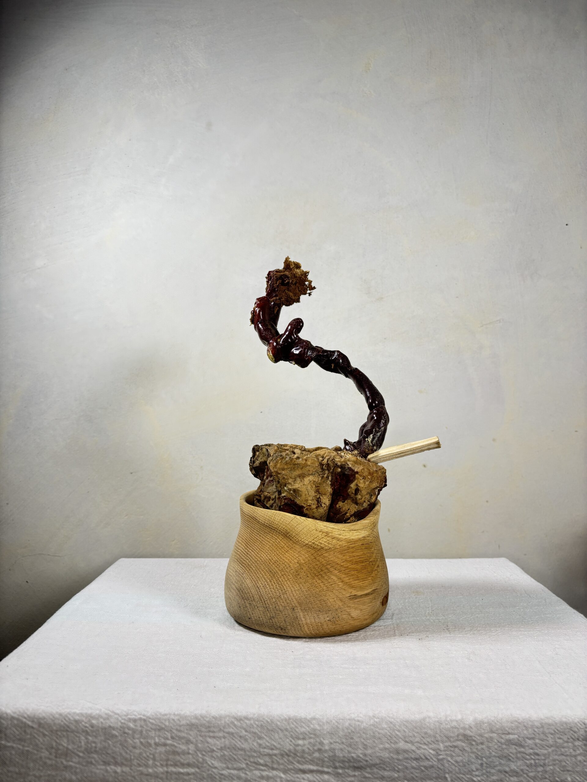 Reishi Bonsai Bowl #07