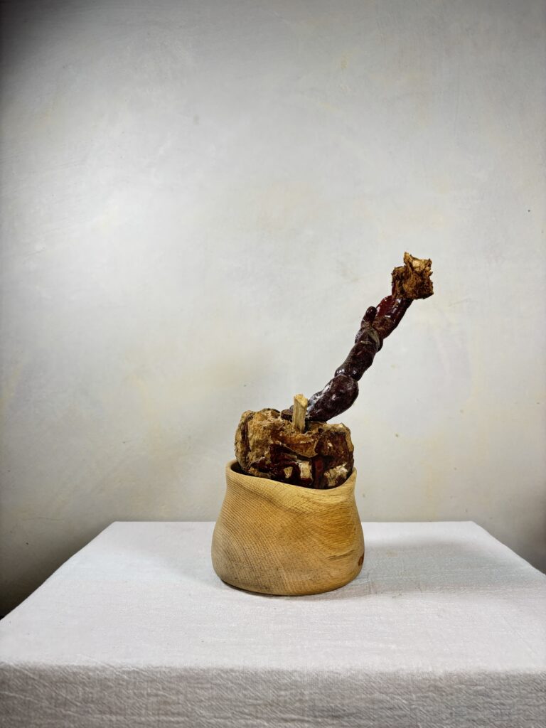 Reishi Bonsai Bowl #07