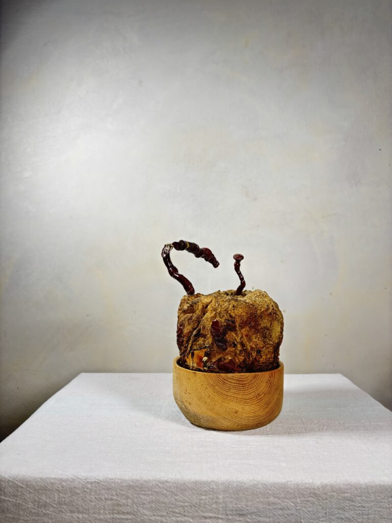 Reishi Bonsai Bowl #8