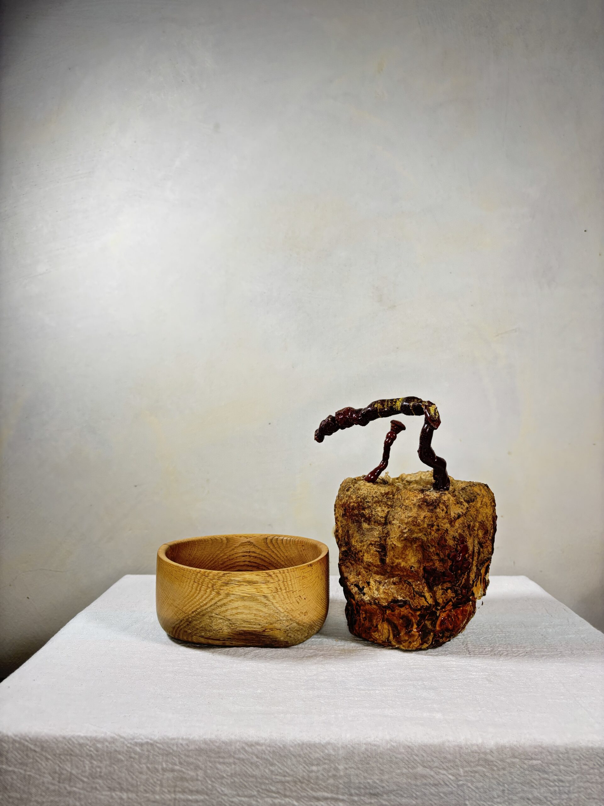 Reishi Bonsai Bowl #8