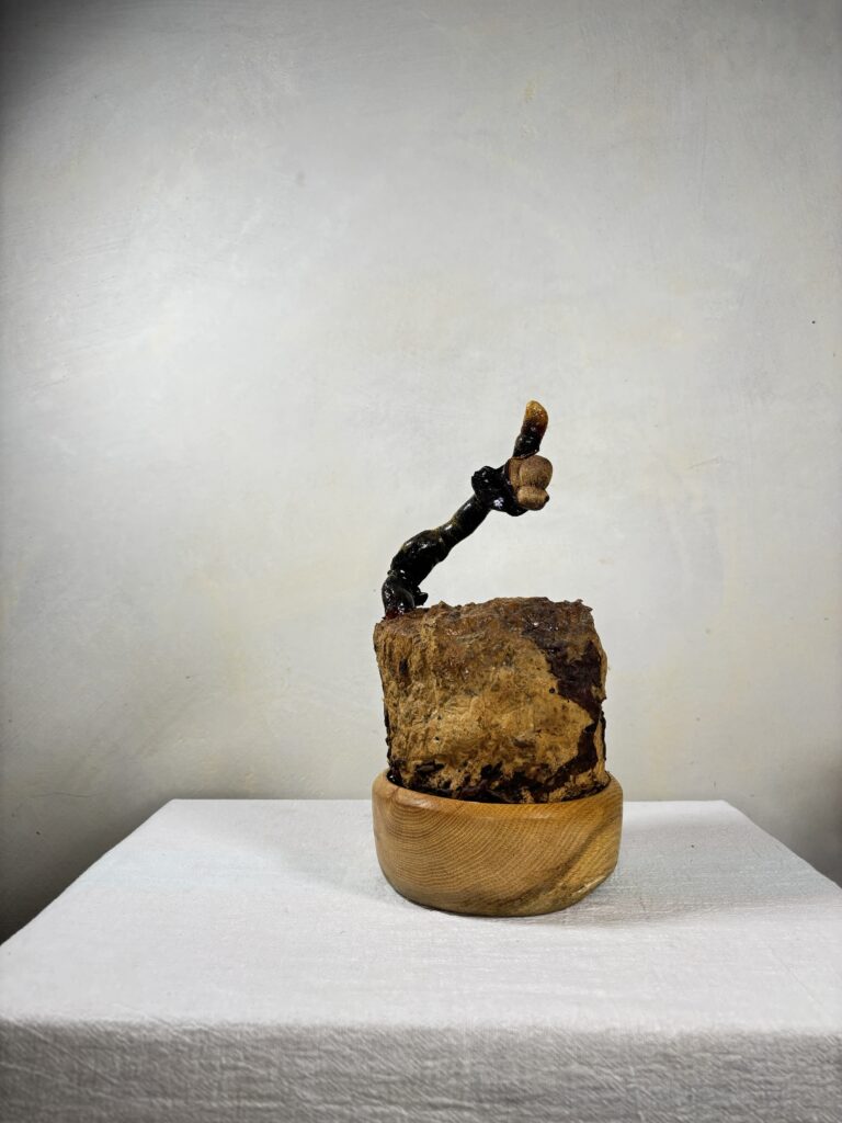 Reishi Bonsai Bowl #09