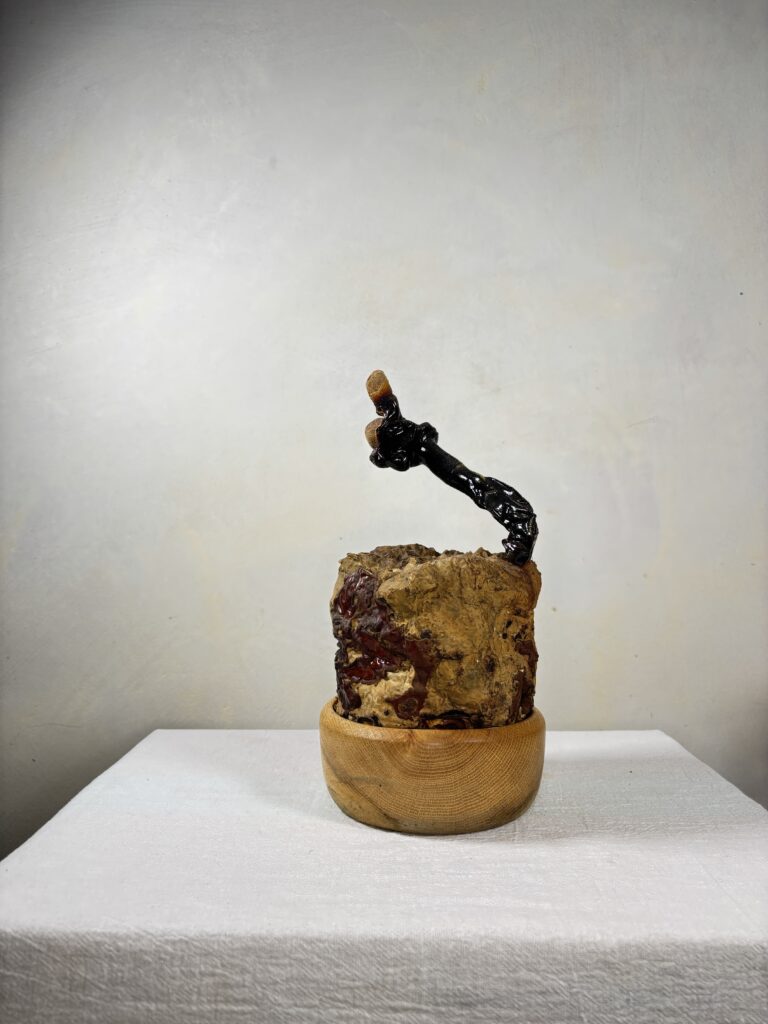 Reishi Bonsai Bowl #09