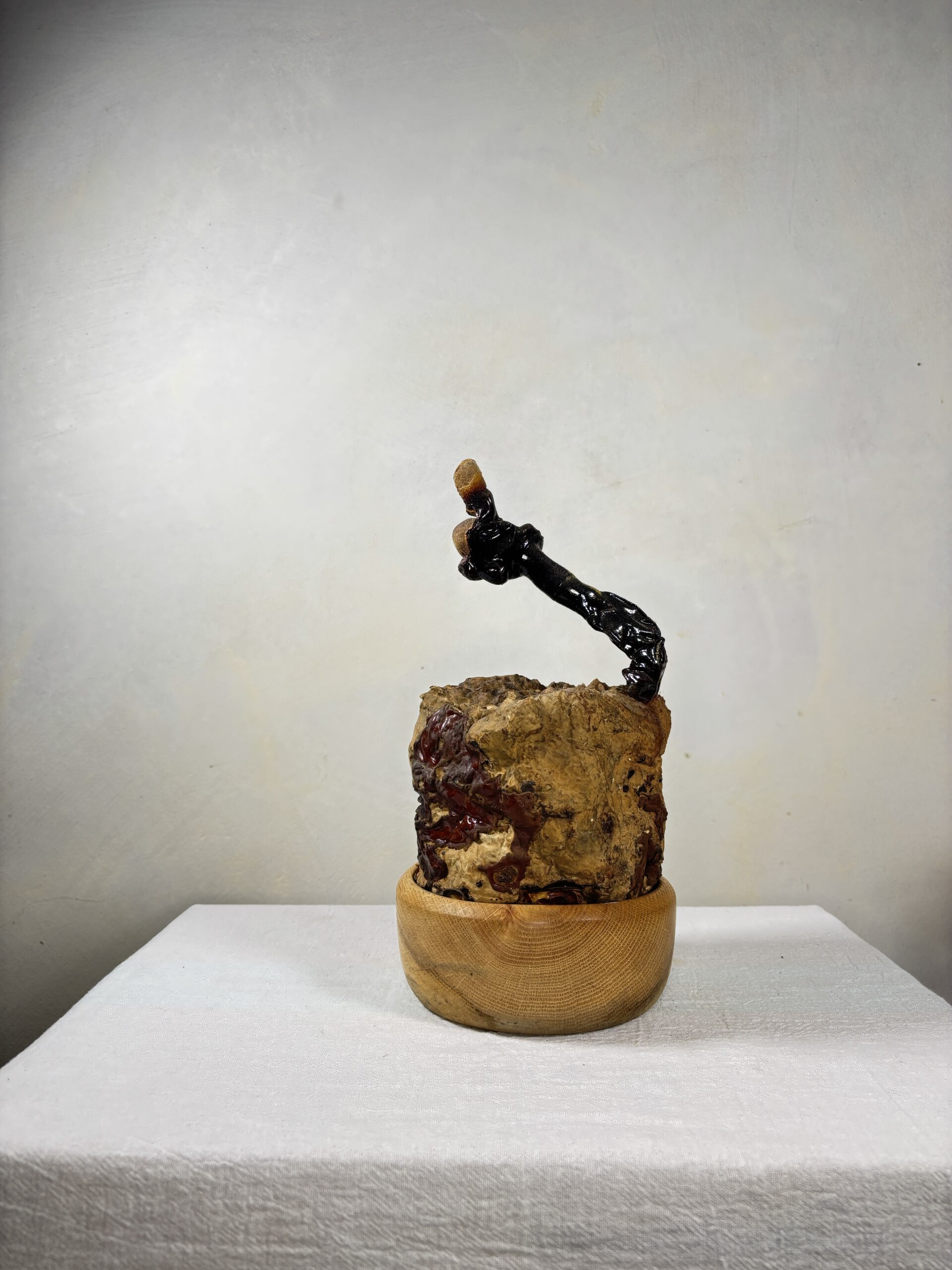 Reishi Bonsai Bowl #09