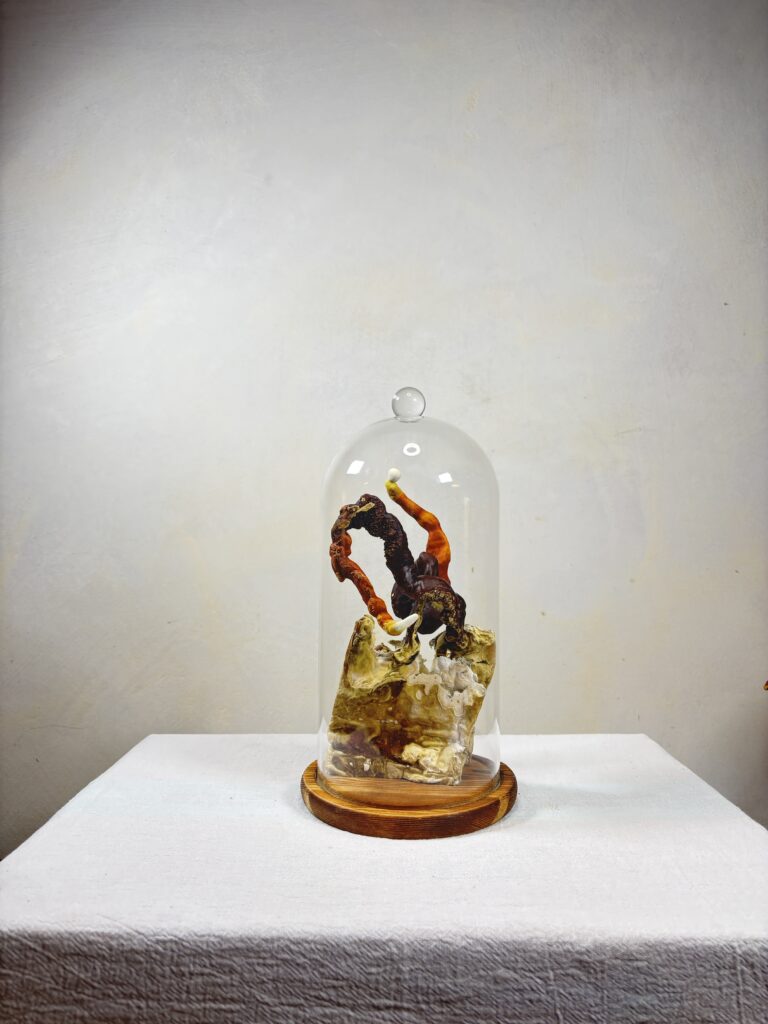 Reishi Bonsai Bowl #Alchemical Compost