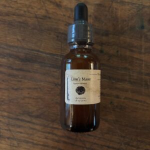 Lion's Mane Tincture